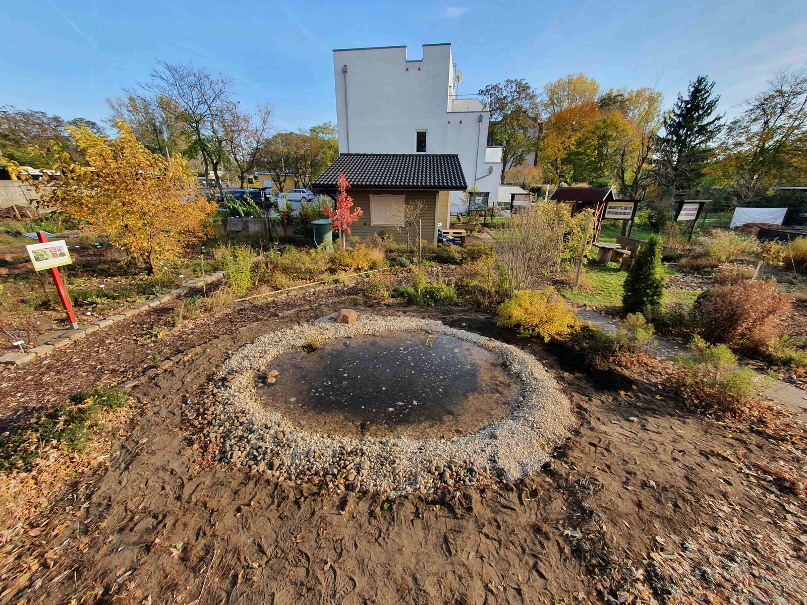 Naturgarten anlegen So wird's gemacht Deutschland summt!